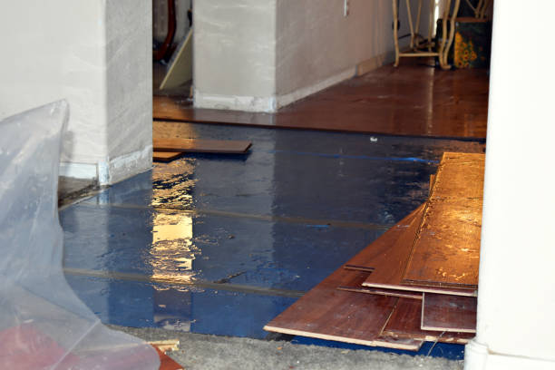 Professional Burst Pipe Cleanup technician working in La Farge, WI